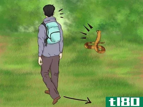 Image titled Treat Snake Bites in the Wilderness Step 27