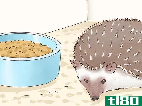 Image titled Take Care of a Hedgehog Step 21