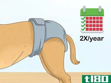 Image titled Tell if Your Dog Is in Heat Step 2