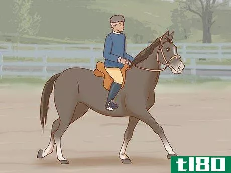 Image titled Start a Horse Breeding Farm Step 36
