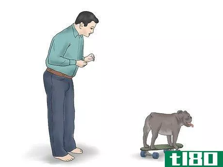 Image titled Teach a Bulldog to Skateboard Step 11