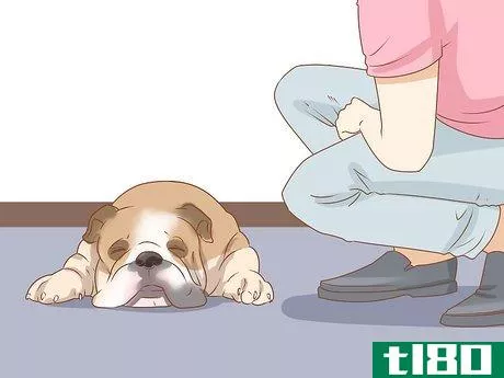 Image titled Tell if Your Dog Is Depressed Step 4