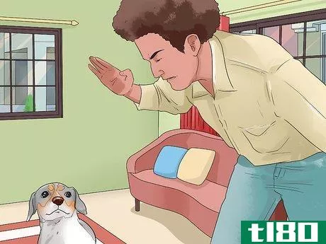 Image titled Stop Aggressive Behavior in Dogs Step 16