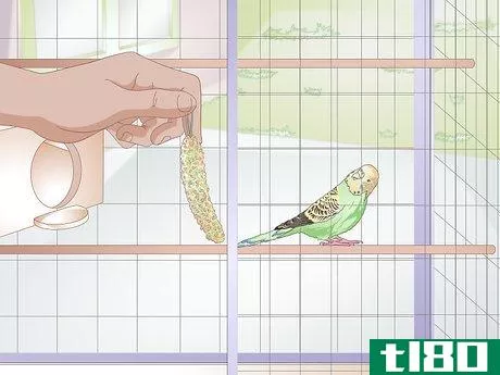 Image titled Tell when a Parakeet Is Sick Step 4