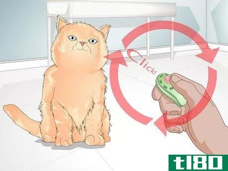 Image titled Teach Your Cat to Give a Handshake Step 5