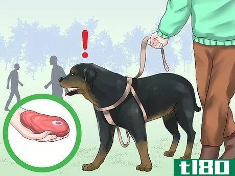 Image titled Train a Rottweiler to Be a Guard Dog Step 15