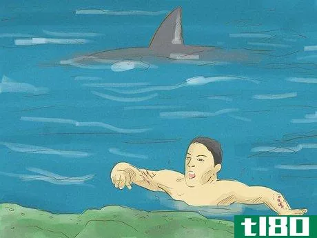 Image titled Avoid Sharks Step 14