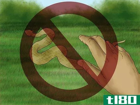 Image titled Treat Snake Bites in the Wilderness Step 22