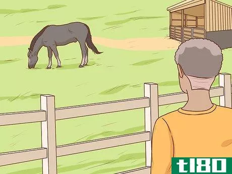 Image titled Start a Horse Breeding Farm Step 23