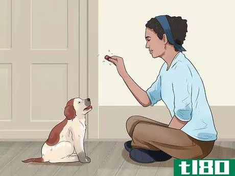 Image titled Teach Your Dog Tricks Step 5
