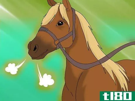 Image titled Take a Horse's Vital Signs Step 10