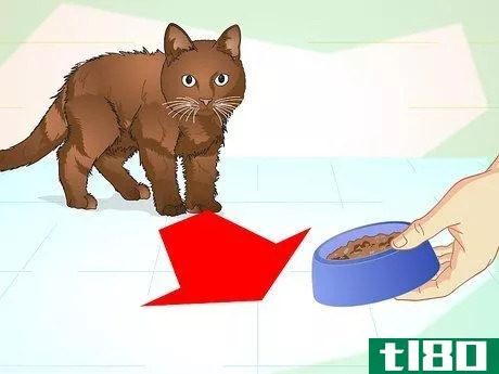 Image titled Teach Your Cat to Do Tricks Step 11