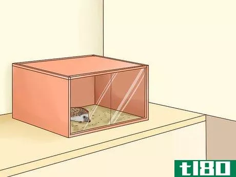 Image titled Take Care of a Hedgehog Step 19