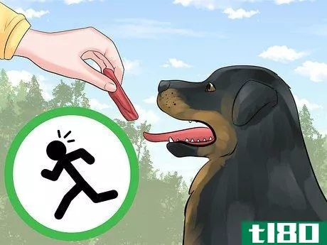 Image titled Train a Rottweiler to Be a Guard Dog Step 13