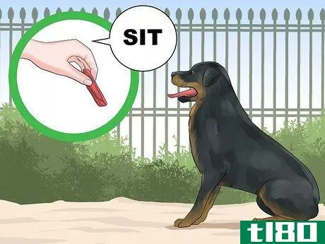 Image titled Train a Rottweiler to Be a Guard Dog Step 1