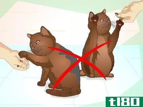 Image titled Teach Your Cat to Do Tricks Step 7