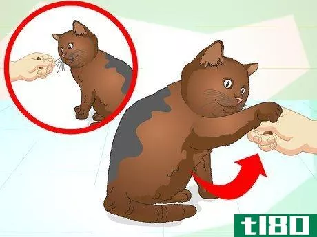 Image titled Teach Your Cat to Do Tricks Step 10