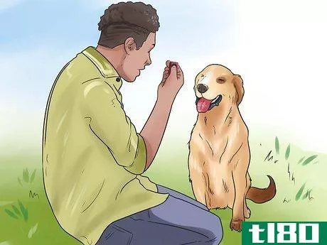 Image titled Teach Your Dog Tricks Step 7