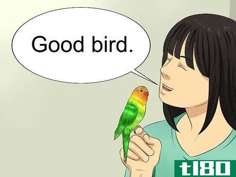 Image titled Teach Your Budgie to Talk Step 6