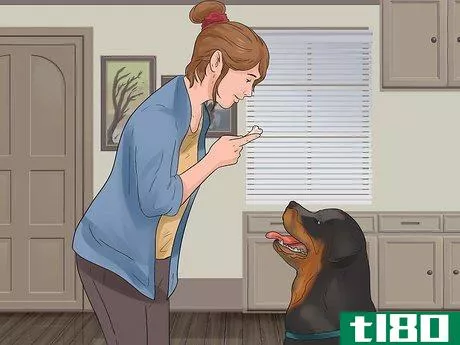 Image titled Teach Your Dog Tricks Step 3