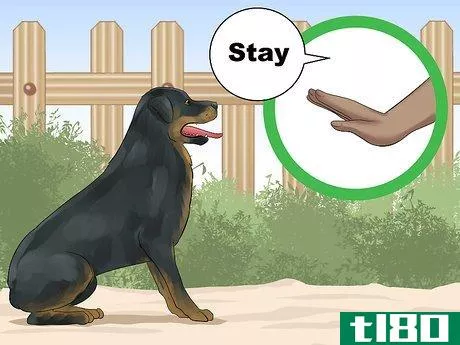 Image titled Train a Rottweiler to Be a Guard Dog Step 3