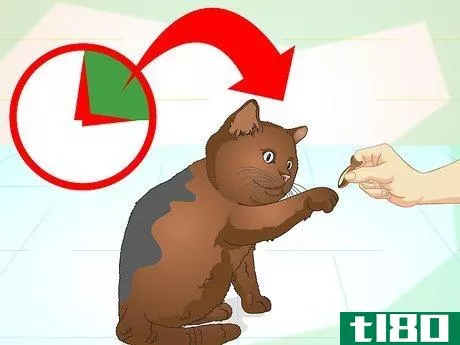 Image titled Teach Your Cat to Do Tricks Step 4