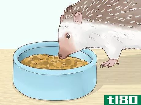 Image titled Take Care of a Hedgehog Step 12