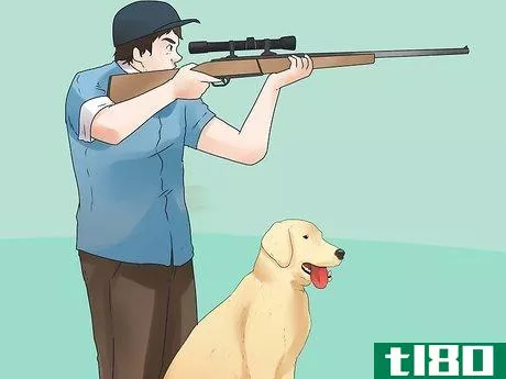 Image titled Train Your Dog to Hunt Step 8