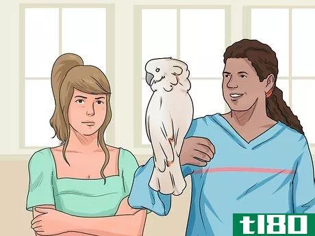 Image titled Teach Your Bird to Talk Step 7