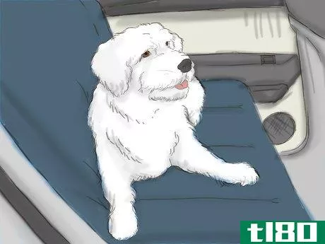 Image titled Travel with Pets by Car Step 3
