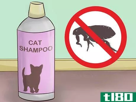Image titled Choose Shampoo and Conditioner for Your Cat Step 4