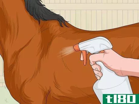 Image titled Treat Horse Lice Step 3