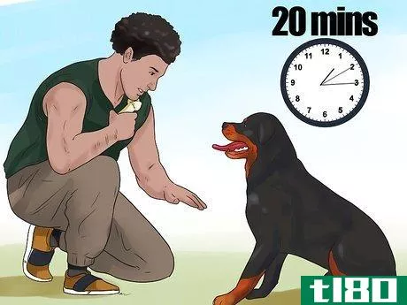 Image titled Teach Your Dog Tricks Step 12