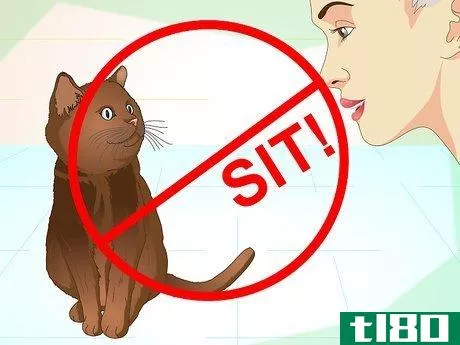 Image titled Teach Your Cat to Do Tricks Step 6