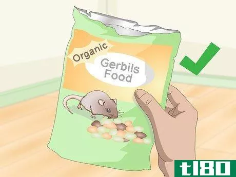 Image titled Spoil Your Gerbils Step 1