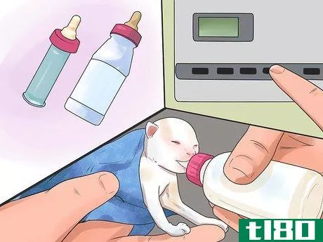 Image titled Take Care of Premature Newborn Kittens Step 7