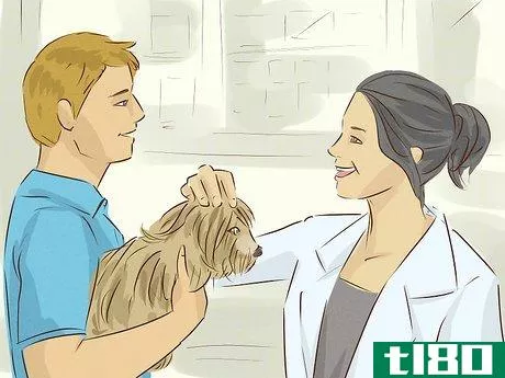 Image titled Become a Veterinarian Step 13