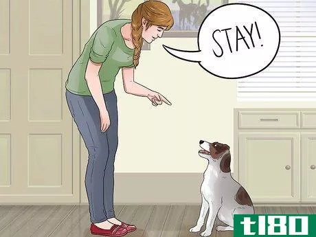 Image titled Teach Your Dog Tricks Step 6