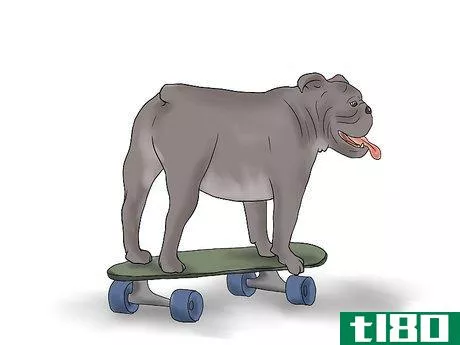 Image titled Teach a Bulldog to Skateboard Step 8