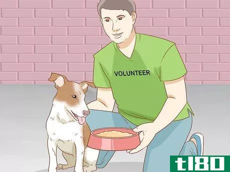 Image titled Start an Animal Shelter Step 11