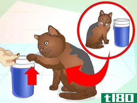 Image titled Teach Your Cat to Do Tricks Step 12