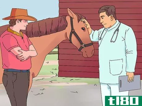 Image titled Treat Horse Eye Problems Step 1