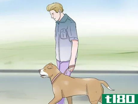 Image titled Train a Stubborn Dog Step 5