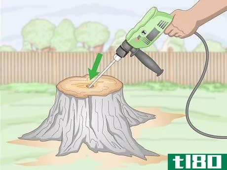 Image titled Burn Tree Stumps Step 2