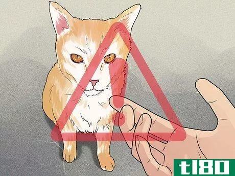 Image titled Treat a Cat Bite Step 14