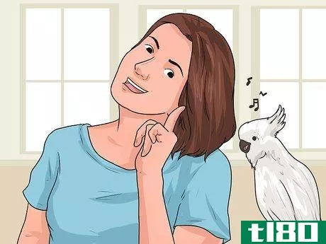 Image titled Teach Your Bird to Talk Step 5