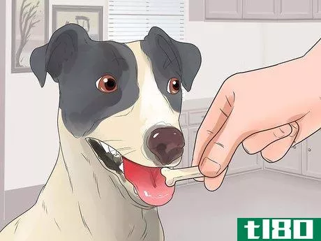 Image titled Teach Your Dog Tricks Step 1