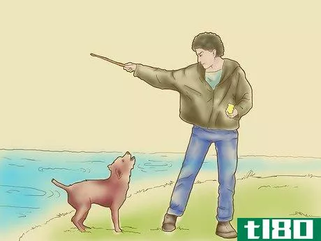 Image titled Teach Your Dog to Surf Step 3