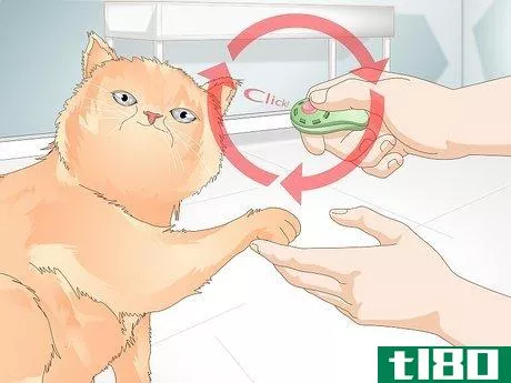 Image titled Teach Your Cat to Give a Handshake Step 11