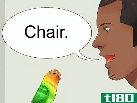 Image titled Teach Your Budgie to Talk Step 5